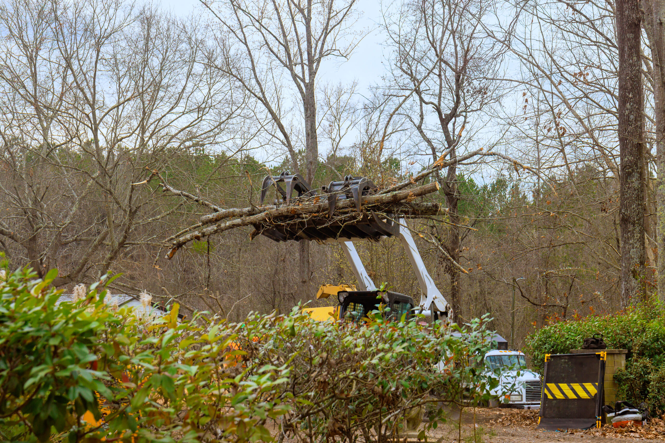 Birmingham Alabama Tree Removal