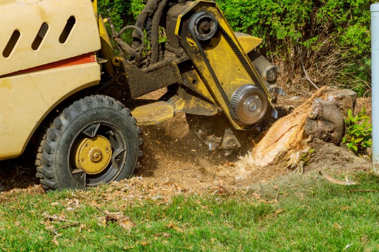 Birmingham Alabama Stump Grinding