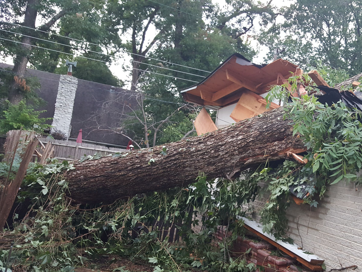 storm-damage-tree-repair-Birmingham-Alabama